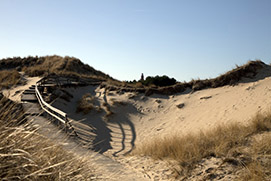 Insel-Amrum-D�nen