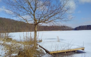 Winter am Plöner Höftsee